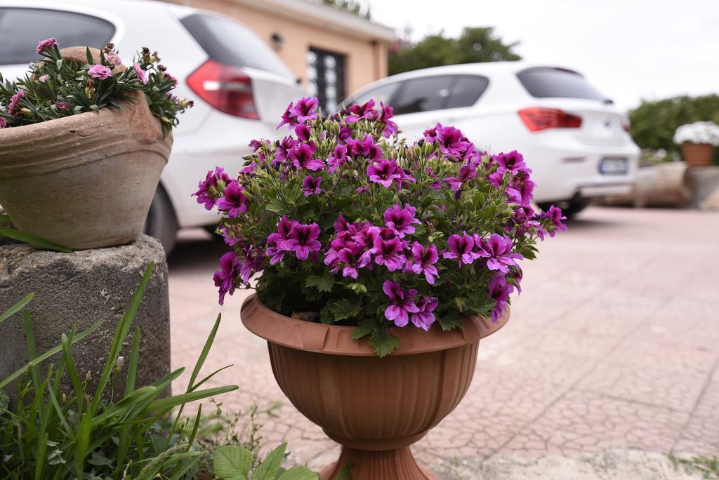 La Casa Dei Sogni Bed & Breakfast Syracuse ภายนอก รูปภาพ