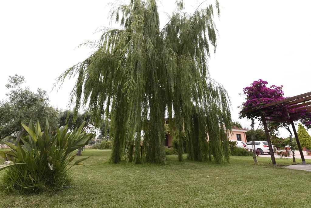 La Casa Dei Sogni Bed & Breakfast Syracuse ภายนอก รูปภาพ